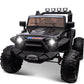 Hikiddo 24V 9Ah Ride on Toy for Big Kids, 4WD 2 Seater Ride on Car Truck with Remote Control, 4x200W Motor - Black