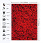 RUINI Floral Wedding Photography Backdrop, Red Roses, 5x7FT, Vinyl Material, Model RUINI_Flower034