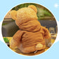 Bsvome 11.8 Inches Teddy Bear Stuffed Animals Soft Plush Cute Teddy Bear With Hoodie Doll For Boys Girls (Pink)