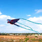 Windnsun Supersized Three-Headed Dragon 3D Nylon Kite, 76 Inches Wide