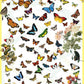 Eurographics Butterflies 1000 Piece Puzzle