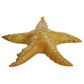 Jet Creations Inflatable Animals 20 Inch Wide Pack Of 4 Star Fish Party Pool Supplies Favors Birthday Gifts For Kids An-Star4, M