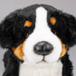 Carl Dick Bernese Mountain Dog, 16 Inches, 40Cm, Plush Toy, Soft Toy, Stuffed Animal 1542001