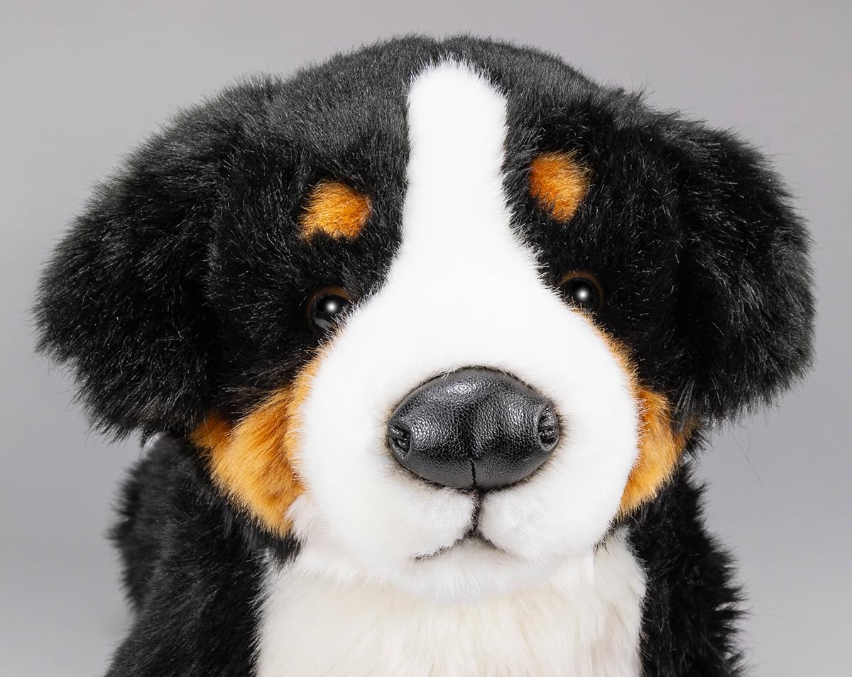 Carl Dick Bernese Mountain Dog, 16 Inches, 40Cm, Plush Toy, Soft Toy, Stuffed Animal 1542001
