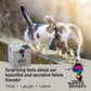 ? Word Teasers About Cats - Fun Cat Trivia Game For Cat Lovers - Cat Themed Game For Cat People Of All Ages - Funny Cat Facts For Kids & Adults - 150 Cat Trivia Cards