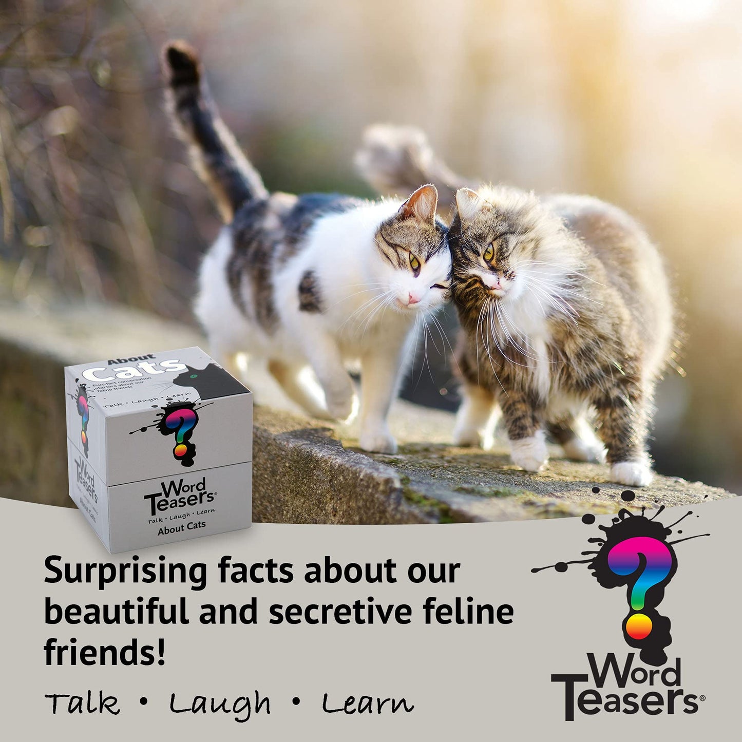 ? Word Teasers About Cats - Fun Cat Trivia Game For Cat Lovers - Cat Themed Game For Cat People Of All Ages - Funny Cat Facts For Kids & Adults - 150 Cat Trivia Cards