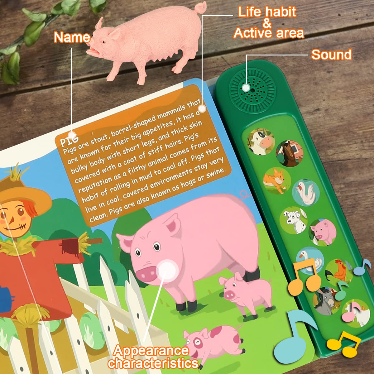 Domniu Farm Animals Figures Toys With 10 Realistic Plastic Animal Figurines & Kids Sound Book, Educational Learning Toys Gift Fo
