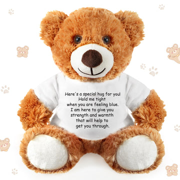 Lenwen a Bear Hug Gift Get Well Soon Bear Sympathy Gift for Women Plush Stuffed Animal Hug Thinking of You Condolences Memorial 