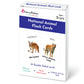 Flash Cards & Toys
