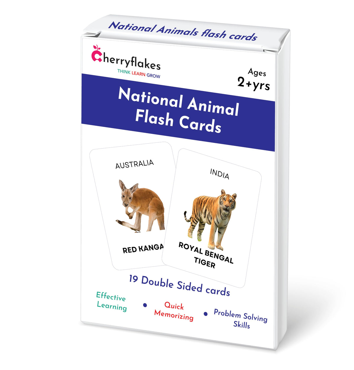Flash Cards & Toys