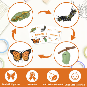 Montessori Life Cycle Animal Figurines Learning & Education Toys, Plastic Insect Snail Ladybug Bee Dragonfly Monarch Butterfly Tadpole To Frog Kit Toy, Preschool Learning Activities Science Toys