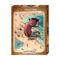 Zozoville: Beach Boy