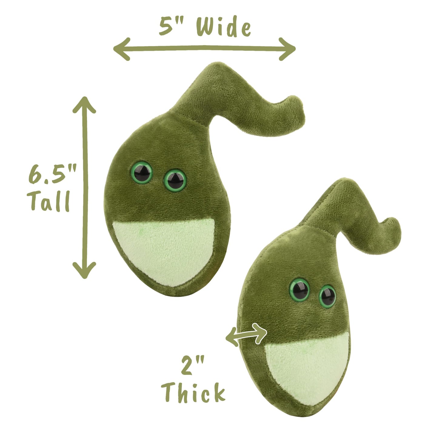 Giantmicrobes Gallbladder Plush,Gallbladder Stuffed Animal, Gallbladder Surgery Gifts, Gallbladder Removal Gift, Gastroenterology Gifts, Get Well Gift