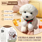 Adorable Taba Squishy Dog  Handmade Squishy Dog Stress Relief Toy for mature-themed/Kids  Cute & Soft Dog Design  Perfect Squeeze Toys Gift for Relaxation and Fun Party Favor (White  Teddy)