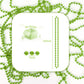 Yaxinrui 33 Inch 7 Mm Metallic Light Green Bead Necklaces, 15Pcs Mardi Gras Beads Bulk Round Beaded Necklaces Costume Necklace F