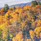 Beduke Jigsaw Puzzles 1000 Pieces For Adults Great Smoky Mountain National Park 1000 Piece Puzzle Thick Sturdy Precise Interlock
