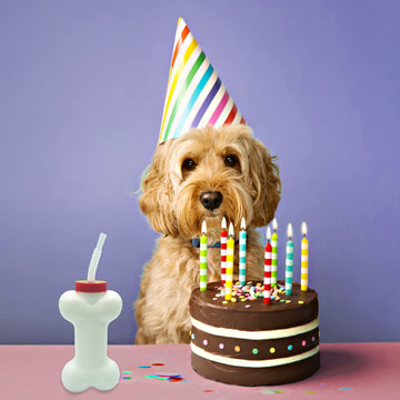 4Es Novelty Dog Bone Cups with Straw (6 Pack) 14 oz - Paw Dog Patrol Party Supplies, Dog Birthday Party Supplies Decorations, P