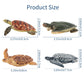 Toymany 6PCS Sea Turtle Figurines Set - Realistic Plastic Ocean Animals for Kids, Educational Toy, Cake Toppers, Birthday Gift
