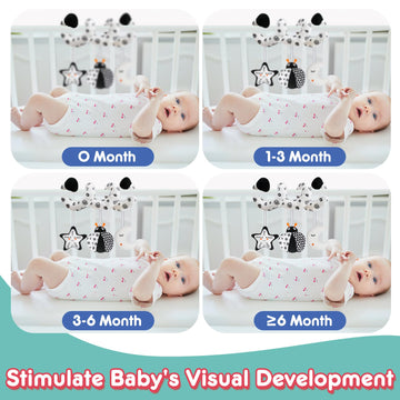 Gkdoms Baby Spiral Hanging Stroller And Car Seat Toys Black And White High Contrast Sensory Toy Newborn Plush Activity Toys Party Favors Quality Baby Gifts For Baby Shower -Bug