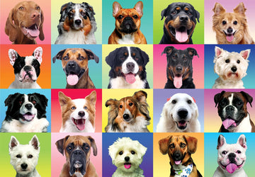 Joyin 300 Pcs Multicolor Dogs Puzzles, Jigsaw Puzzle For Kids And Adults(29' X 21'), Puppy Theme Puzzles For Teens, Collection Gift Home Art Decor