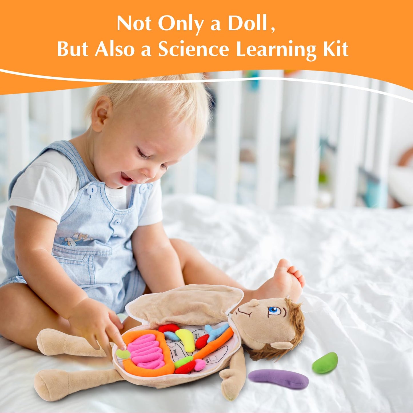 Vocheer Human Body Anatomy Toy, Montessori Preschool Educational Organ Plush Toys For Kids, Science Learning Kits For Student, Body Organ Awareness Teaching Tools For Girls