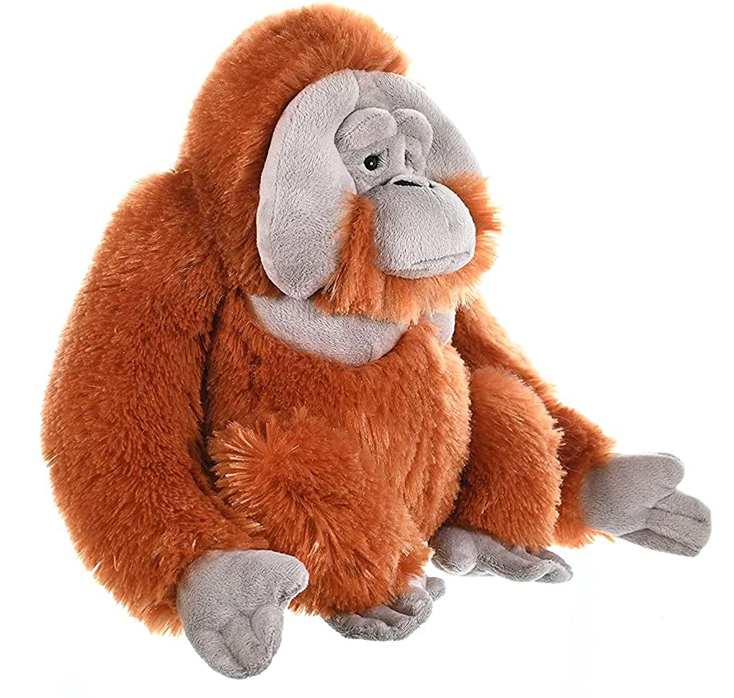 Wild Republic Orangutan Plush, Stuffed Animal, Plush Toy, Gifts For Kids, Cuddlekins 12 Inches