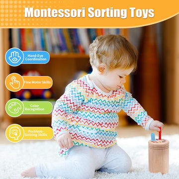 Mttiery Montessori Wooden Color Sorting Toys For 18 Month Old,Preschool Learning Activities Educational Fine Motor Matching Game