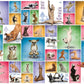 Yoga Dogs 1000Pc Puzzle
