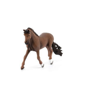 Schleich Horse Club Trakehner Gelding Horse Toy Figurine, Ages 5+