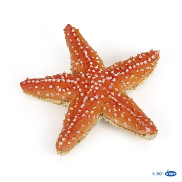 Papo - Hand-Painted - Figurine - Marine Life - Starfish-56050 - Collectible - For Children - Suitable For Boys And Girls - From 3 Years Old