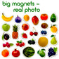 MAGDUM PHOTO FRUITs&Berries - magnets for kitchen -real LARGE fridge magnets for toddlers- Magnetic EDUcational toys baby 3 year old baby - LEARNing magnets for kids- Kid magnets - Development toys
