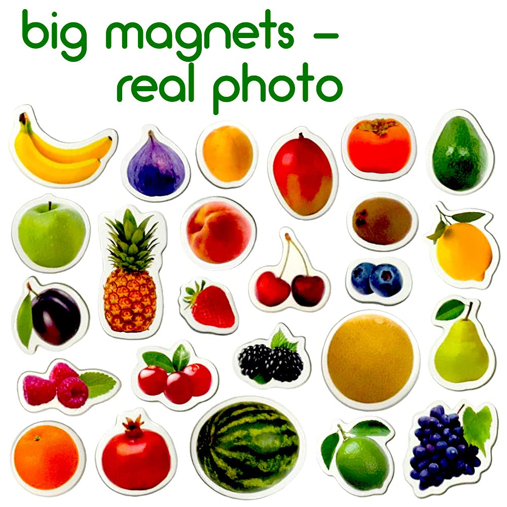 MAGDUM PHOTO FRUITs&Berries - magnets for kitchen -real LARGE fridge magnets for toddlers- Magnetic EDUcational toys baby 3 year old baby - LEARNing magnets for kids- Kid magnets - Development toys