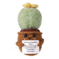 Positive Cactus Crochet, 4.3 Inch Handmade Knitted Cactus Toy Funny Potato Mexican Cactus Cute Emotional Support Life Plant Doll Gifts With Encouragement Card For Adults Kids Decoration
