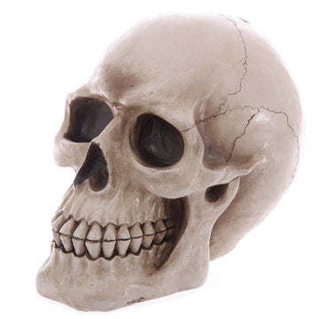 Puckator Mb185, Piggy Bank, Skull Design