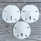 Sand Dollar - Real Sand Dollars - 2 1/2 to 3 (3pk) - Sand Dollar Shells - Wedding Seashell Craft - Sand Dollars for Crafts - San