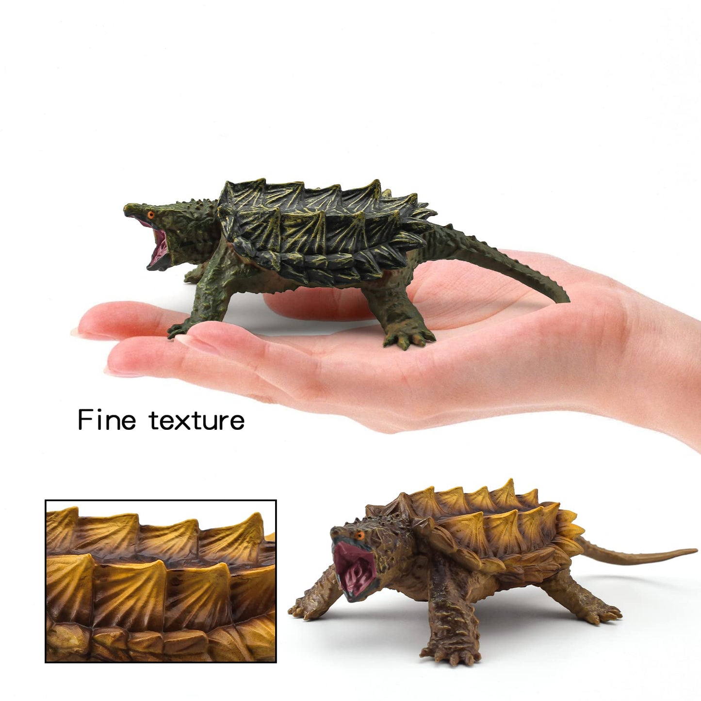 Wonwontoys Snapping Turtle Model 2Pcs Turtle Figure Wild Life Realistic Tortoise Figures Toy Table Decorations