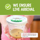 Nature Gifts Live Butterfly Kit - School-Sized Educational Experience With 32 Painted Lady Caterpillars - Pop-Up Cage, And Compr
