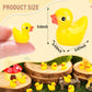 selizo 250PCS Mini Resin Ducks, Tiny Plastic Ducks Little Ducks to Hide, Small Resin Duck Charms Baby Ducks Bulk for Miniature D