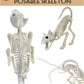 Giftexpress 2 Pack Real Size Cat Skeleton - 20'' Long Creepy Kitten Skeletons With Posable Tail Halloween Decor - Indoor & Outdo