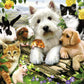 Ravensburger Happy Animal Buddies | 300-Piece Jigsaw Puzzle For Kids | Unique, Pieces | Fun & Educational Toy