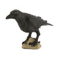 Safari S150829 Wings Of The World Raven Miniature Plastic Minature