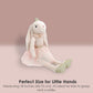 Mon Ami Princess Brianna Bunny Doll - 18'', Soft & Cuddly Plush Animal Doll, Use As Toy Or Room D  Cor, Great Gift For Kids, Boy