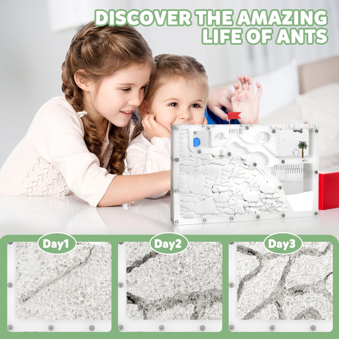 Blevla Ant Farms with Connections  Ant Farms for Kids & mature-themed  Live Ants for Ant Farm Educational Science DIY Toy Kit - STEM Learning Toy - Great Gifts for Boys & Girls (House)