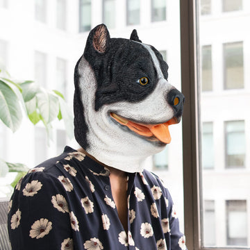 PartyHop Pitbull Dog Mask Animal Latex Full Head Mask Fancy Dress for Halloween Costume Party