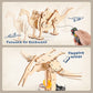Dinosaur Stem Kits For Kids Ages 6-8-10-12, 4 In 1 Stem Projects, Wood Building Toys For Boys Age 8-12, Build It Yourself Woodwo