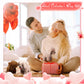 Syhood 16 Pcs Plush Dogs 7.87 Inches Stuffed Dogs Bulk Valentines Party Favor Gift Plush Stuffed Animal For Girls Boys Goodie Bag Birthday(Labrador)