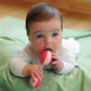 Green Sprouts Sprout Ware Plant Plastic Dumbbell Rattle Made From Plants, Encourages Whole Learning The Healthy & Natural Way, A