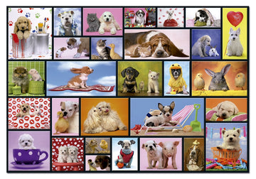 Educa Shared Moments Puzzle