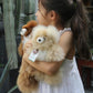 Alpaca Teddy Bear. Soft, Fluffy And Cuddly Stuffed Animal (Beige And White, 12 Inch)