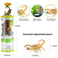 Unique Kids Mini Insect Figure Creatures In Tube 15 Pcs Set | Realistic Tiny Little Animals For Sensory Bin, Birthday Party Favor, Toddler 3-5 (Insect)